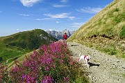 19 Sul segnavia 204 per il Lago Moro